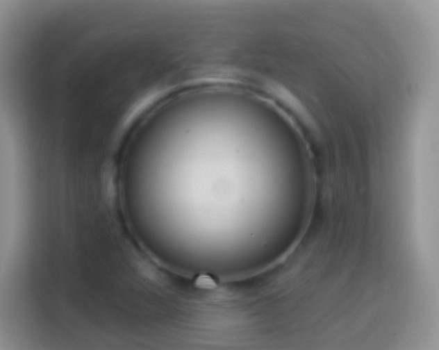 X0000113881360200910011124