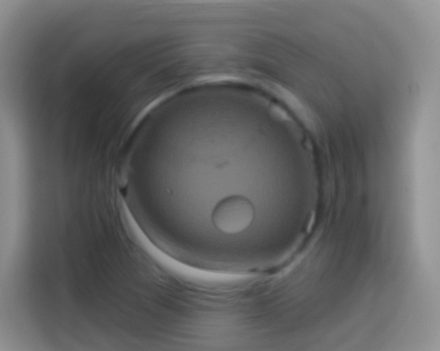 X0000113881361200910011124