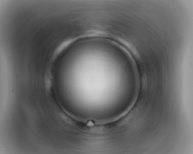 X0000113881363200910011124