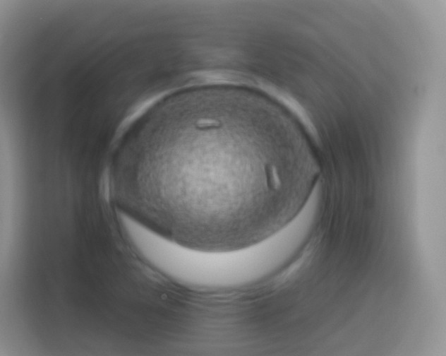 X0000113881365200910011124