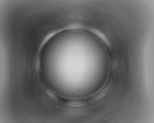 X0000113881366200910011124