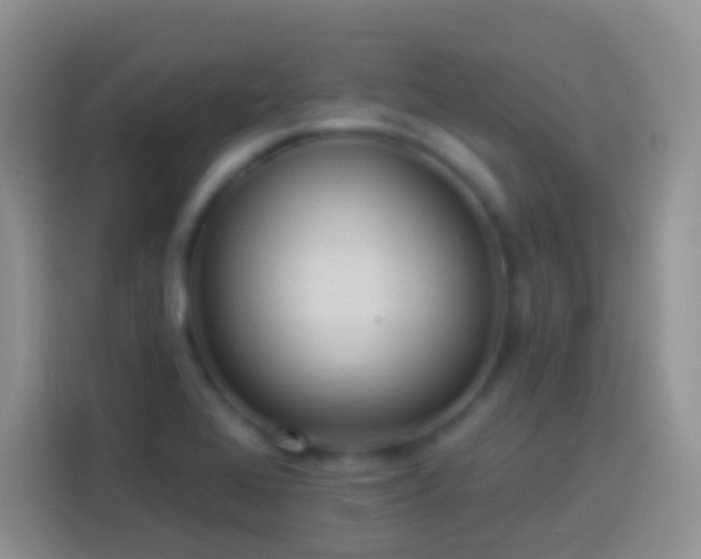 X0000113881368200910011124