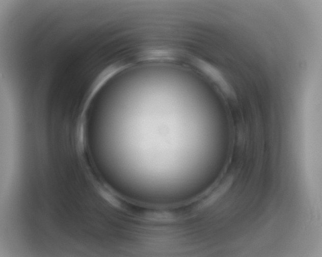 X0000113881370200910011124