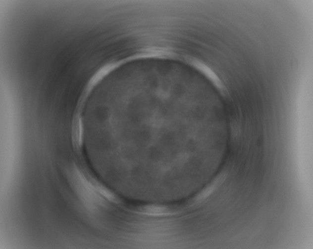 X0000113881371200910011124