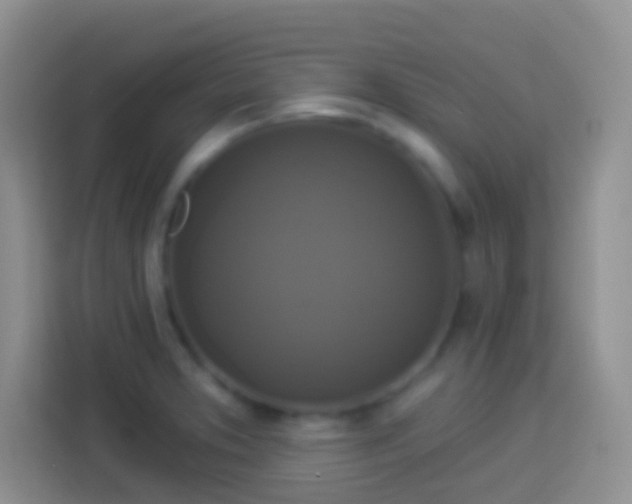 X0000113881373200910011124