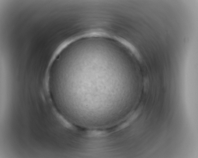 X0000113881374200910011124