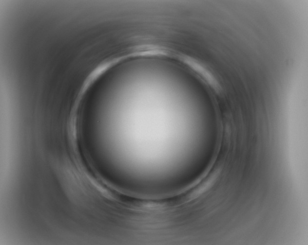 X0000113881375200910011124