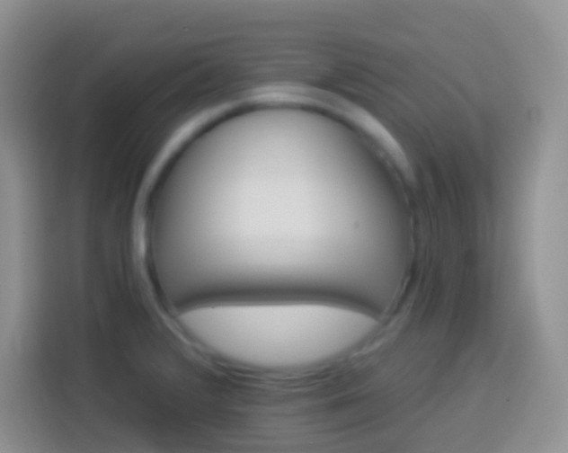 X0000113881376200910011124