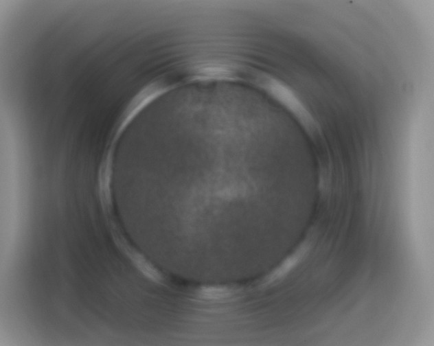 X0000113881378200910011124
