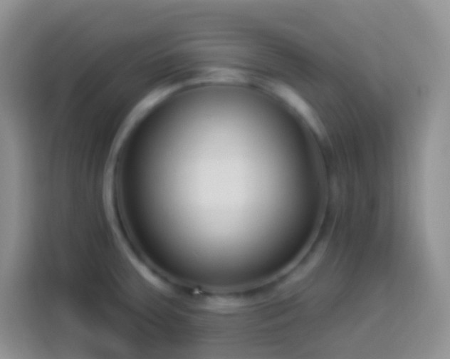 X0000113881379200910011124