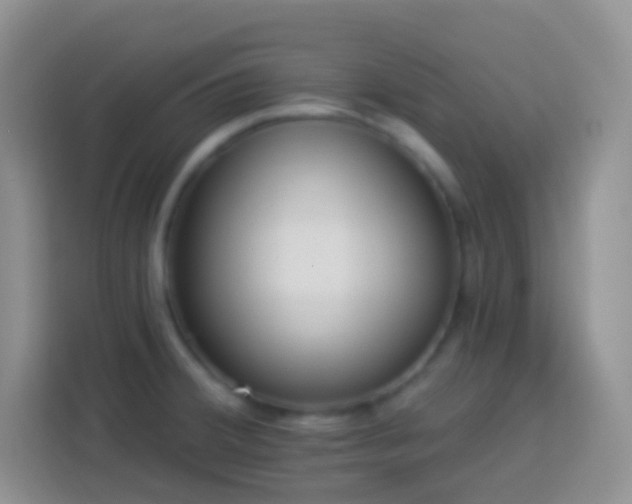 X0000113881380200910011124