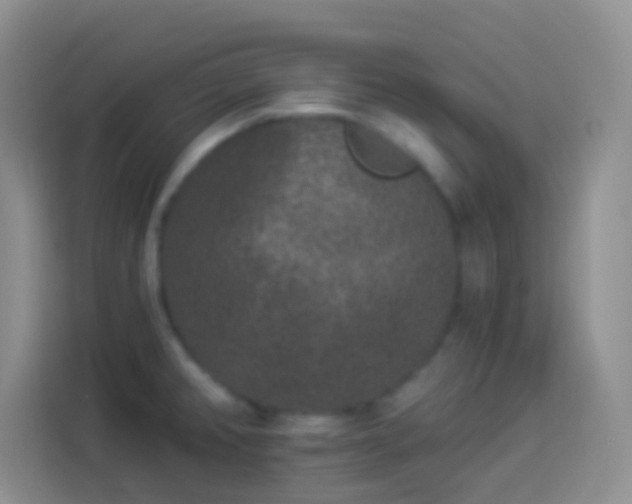 X0000113881382200910011123