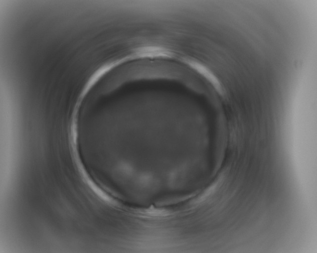 X0000113881383200910011123