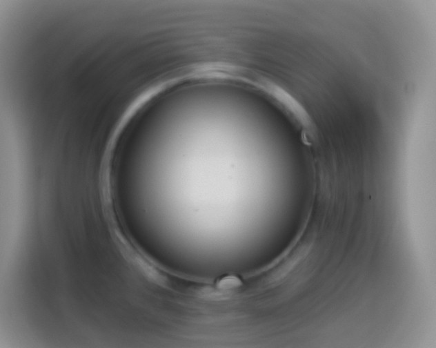 X0000113881384200910011123