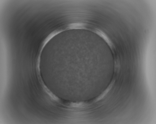 X0000113881386200910011123