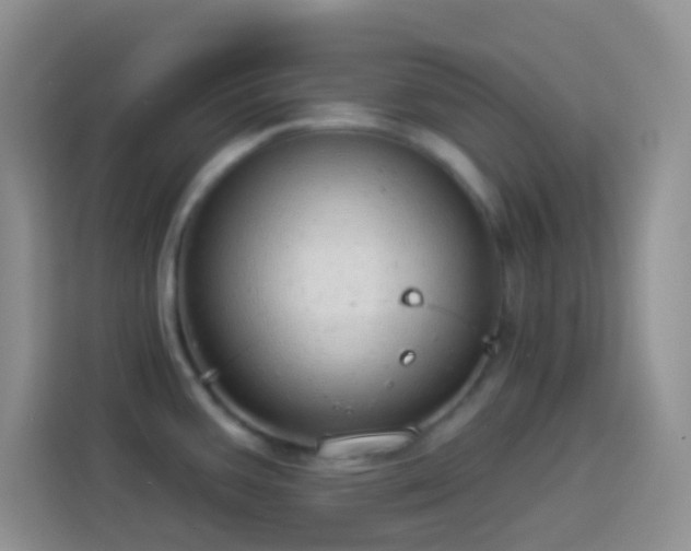 X0000113881387200910011123