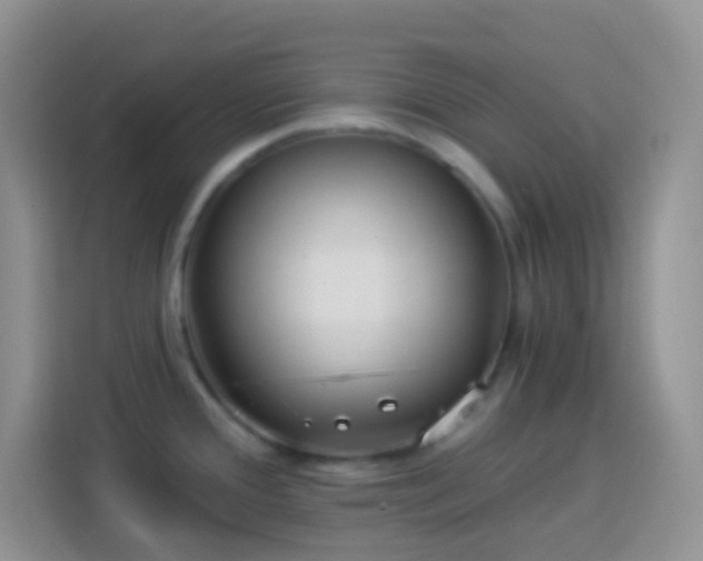 X0000113881388200910011123