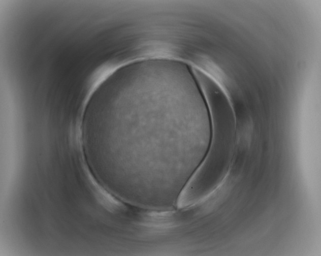 X0000113881389200910011123