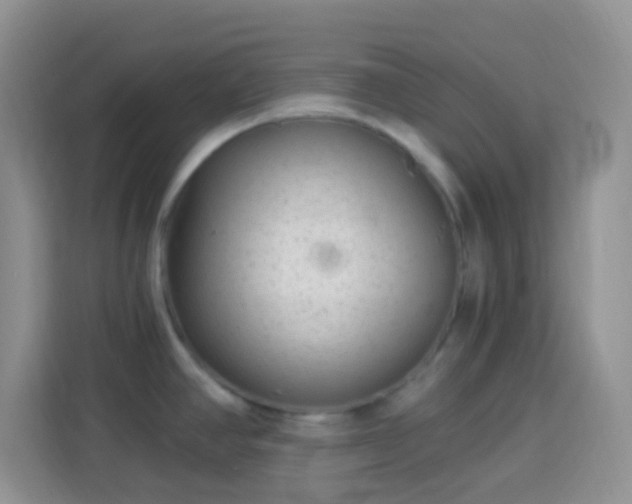 X0000113881390200910011123