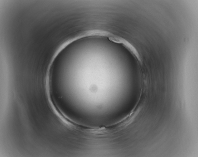 X0000113881391200910011123