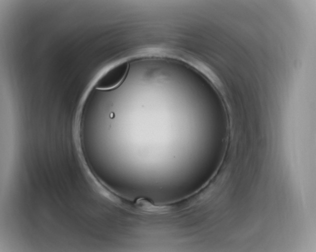 X0000113881392200910011123