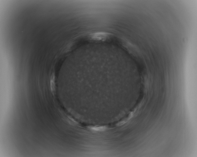 X0000113881394200910011123