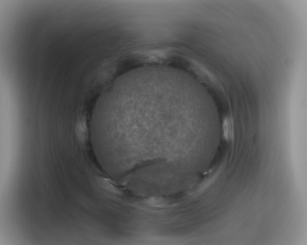 X0000113881395200910011123