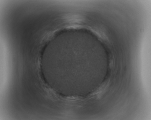 X0000113881397200910011123