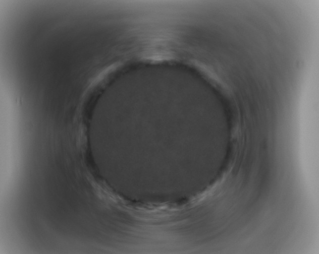 X0000113881398200910011123
