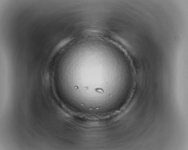 X0000113881402200910011123