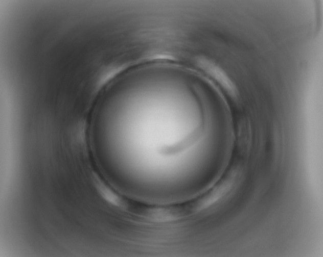 X0000113881404200910011123