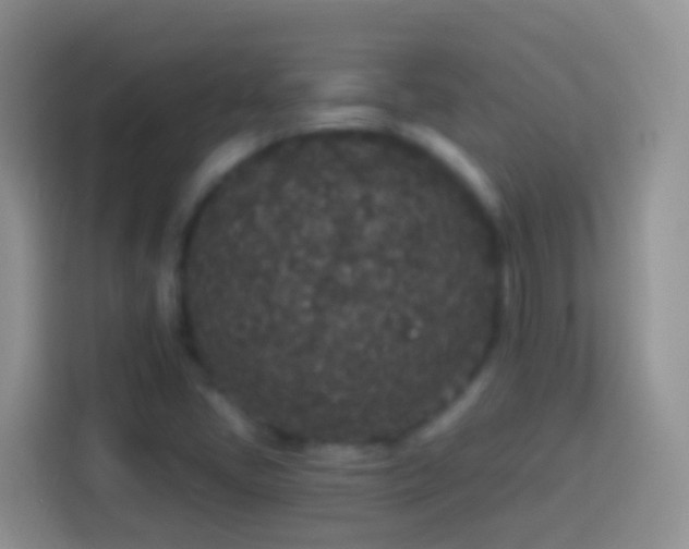 X0000113881405200910011123