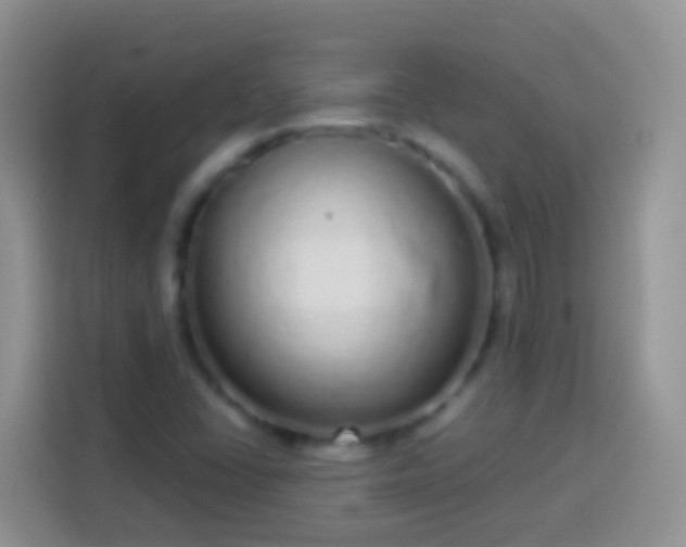 X0000113881406200910011123