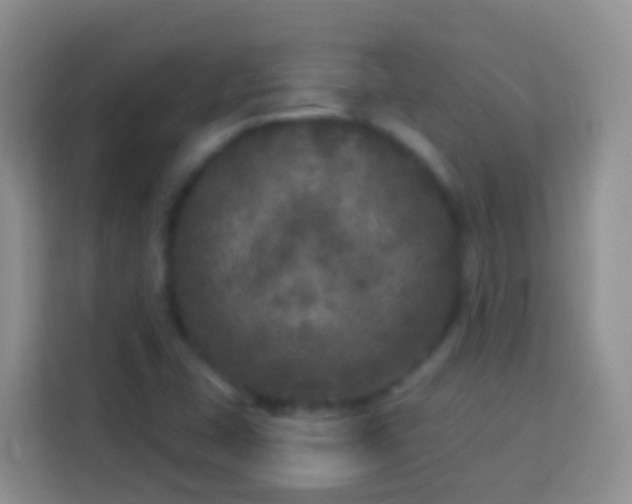 X0000113881407200910011123