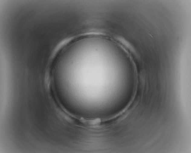 X0000113881408200910011123