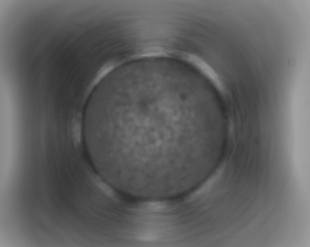 X0000113881409200910011123