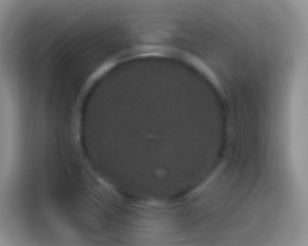 X0000113881411200910011123