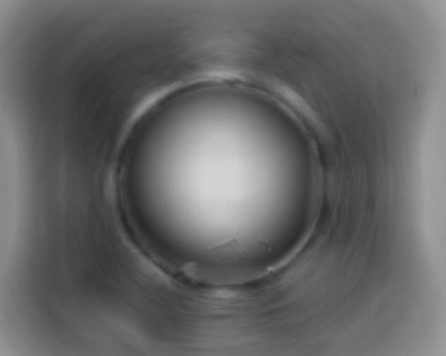 X0000113881412200910011123