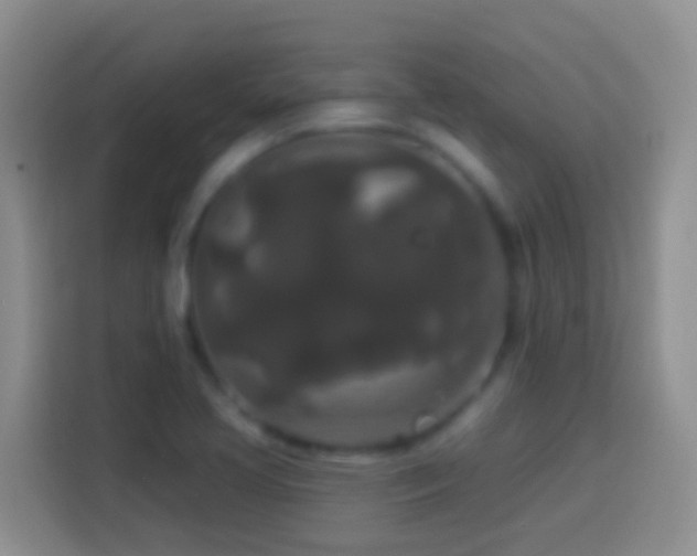 X0000113881413200910011123