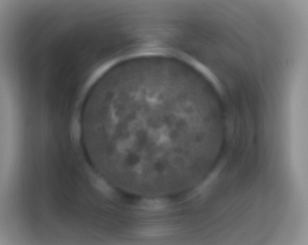 X0000113881415200910011123
