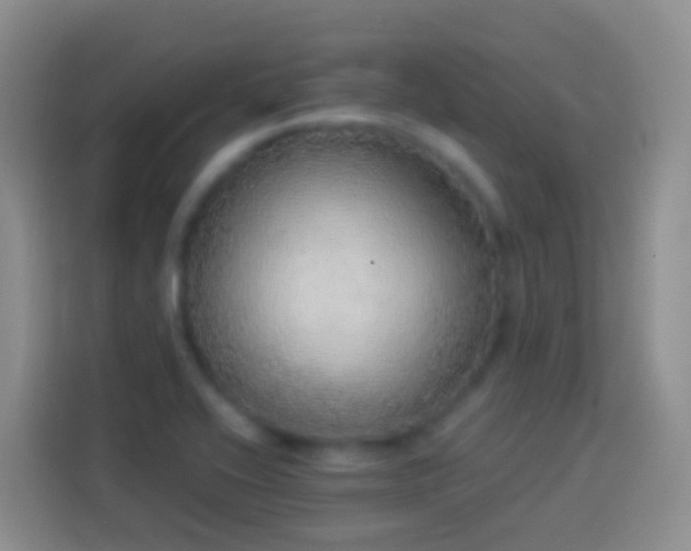 X0000113881416200910011123