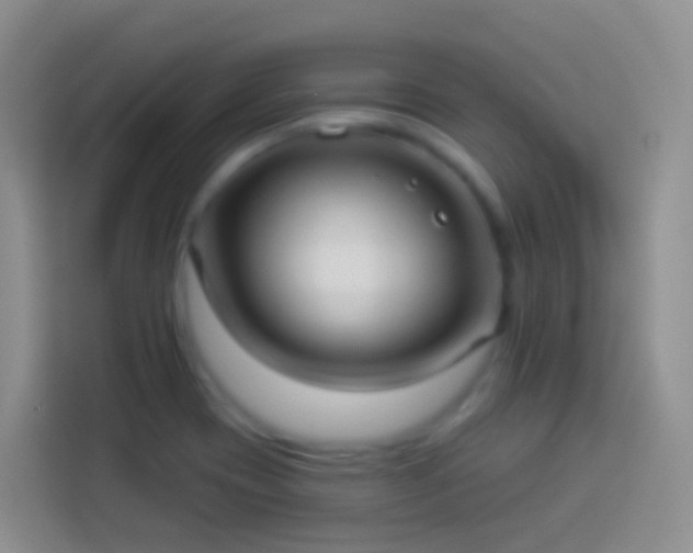 X0000113881417200910011123