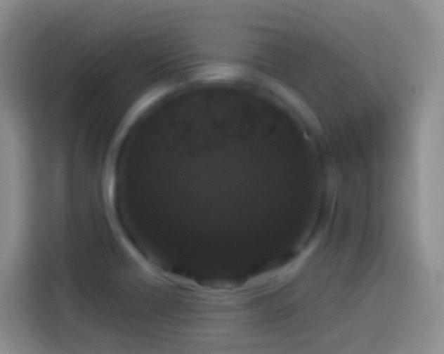 X0000113881418200910011123