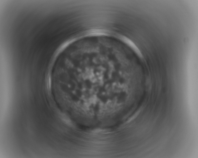 X0000113881419200910011123