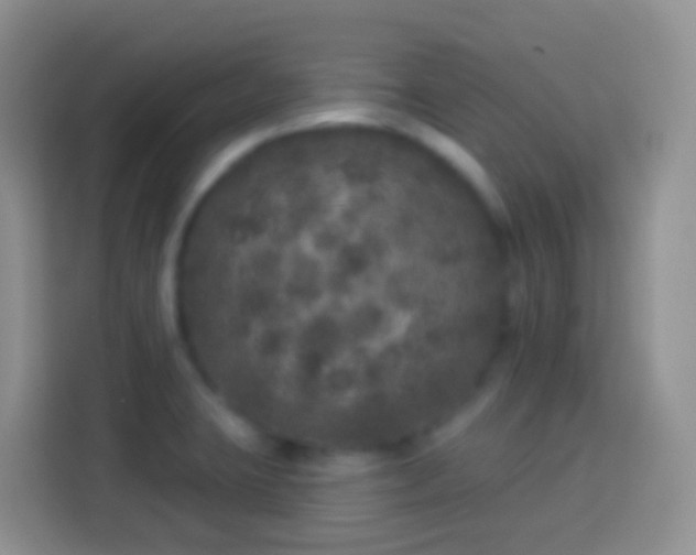 X0000113881423200910011123