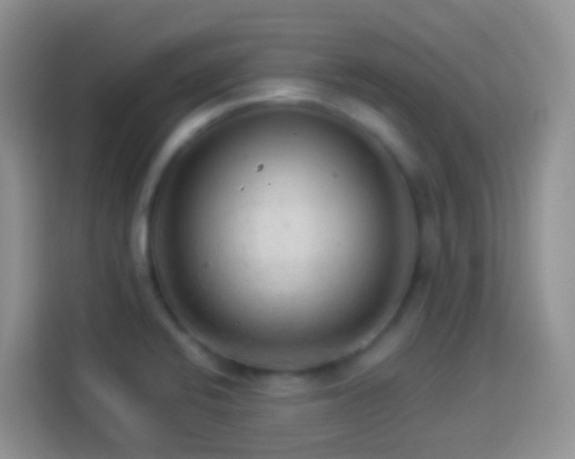 X0000113881424200910011123