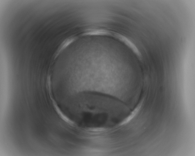 X0000113881425200910011123