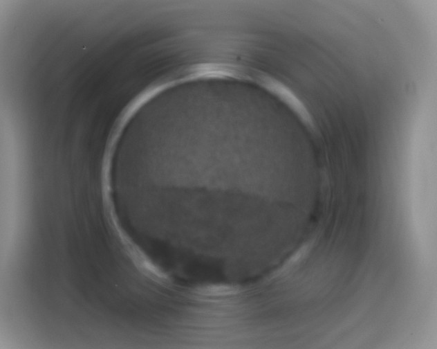 X0000113881427200910011123