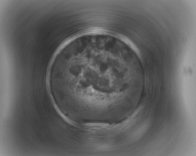 X0000113881429200910011123