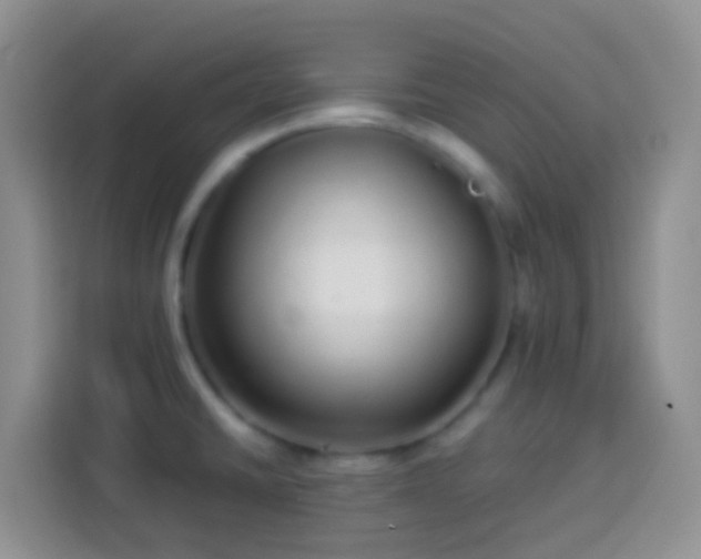 X0000113881430200910011123